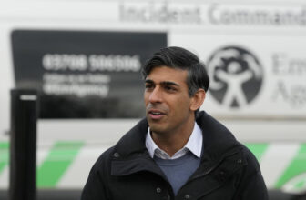 UK authorities needs to make use of AI to chop civil service jobs