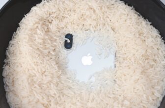 Apple Formally Warns Customers To not Put Moist iPhones in Rice