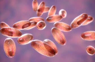 A Cat in Oregon Gave Bubonic Plague to Its Proprietor