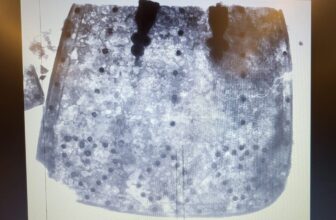 Colonial Armor Present in Seventeenth-Century Maryland Cellar