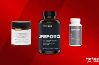 Greatest NMN Complement of 2024, In line with a Diet Coach