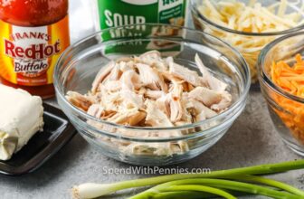 Buffalo Hen Dip – Spend With Pennies