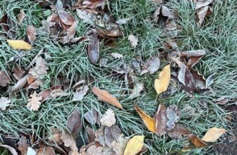 Beat the Winter Blues… — Estée Lalonde