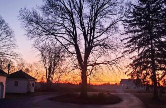 The Little Issues Publication #403 – Life, laughter, and plenty of nice meals!