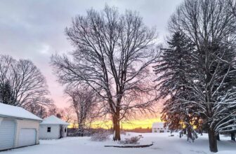 The Little Issues Publication #404 – Life, laughter, and many nice meals!