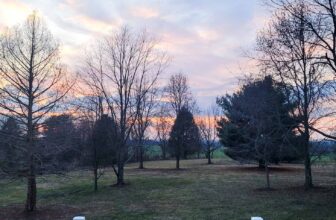 The Little Issues Publication #405 – Life, laughter, and many nice meals!