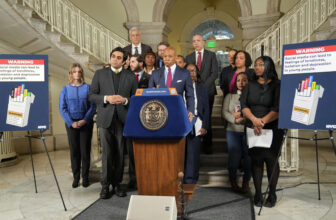 New York Metropolis is suing social media companies for allegedly harming the psychological well being of kids