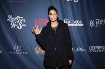 Sarah Silverman’s copyright infringement swimsuit in opposition to OpenAI will advance in pared-down type