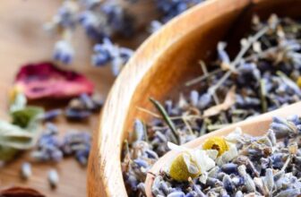 the very best herbs for PMS