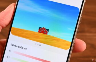 Tips on how to use the Samsung Galaxy S24 vividness instrument