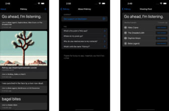 Journaling app Palmsy presents pretend likes from actual mates