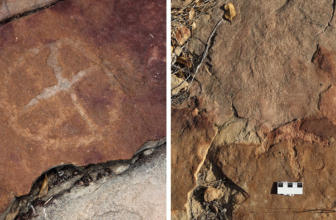 Historic People Left Drawings Subsequent to Dinosaur Footprints in Brazil