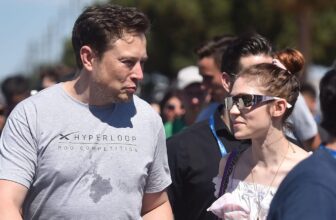 No, Grimes Did not Make Enjoyable of Elon Musk for Saying Wealthy Ex-Wives Have Destroyed Civilization