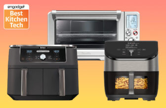 The 4 greatest air fryers for 2024, examined and reviewed