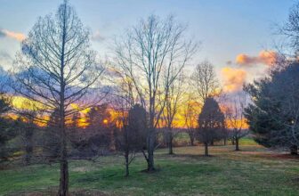 The Little Issues Publication #406 – Life, laughter, and many nice meals!