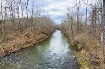 The Little Issues Publication #407 – Life, laughter, and plenty of nice meals!