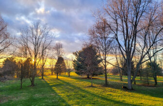 The Little Issues Publication #408 – Life, laughter, and many nice meals!