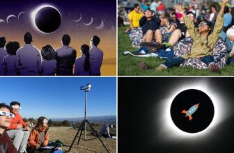 Your Final Information to the Massive Day