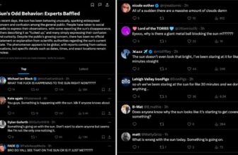 Elon Musk’s Grok Creates Weird Faux Information Concerning the Photo voltaic Eclipse Because of Jokes on X